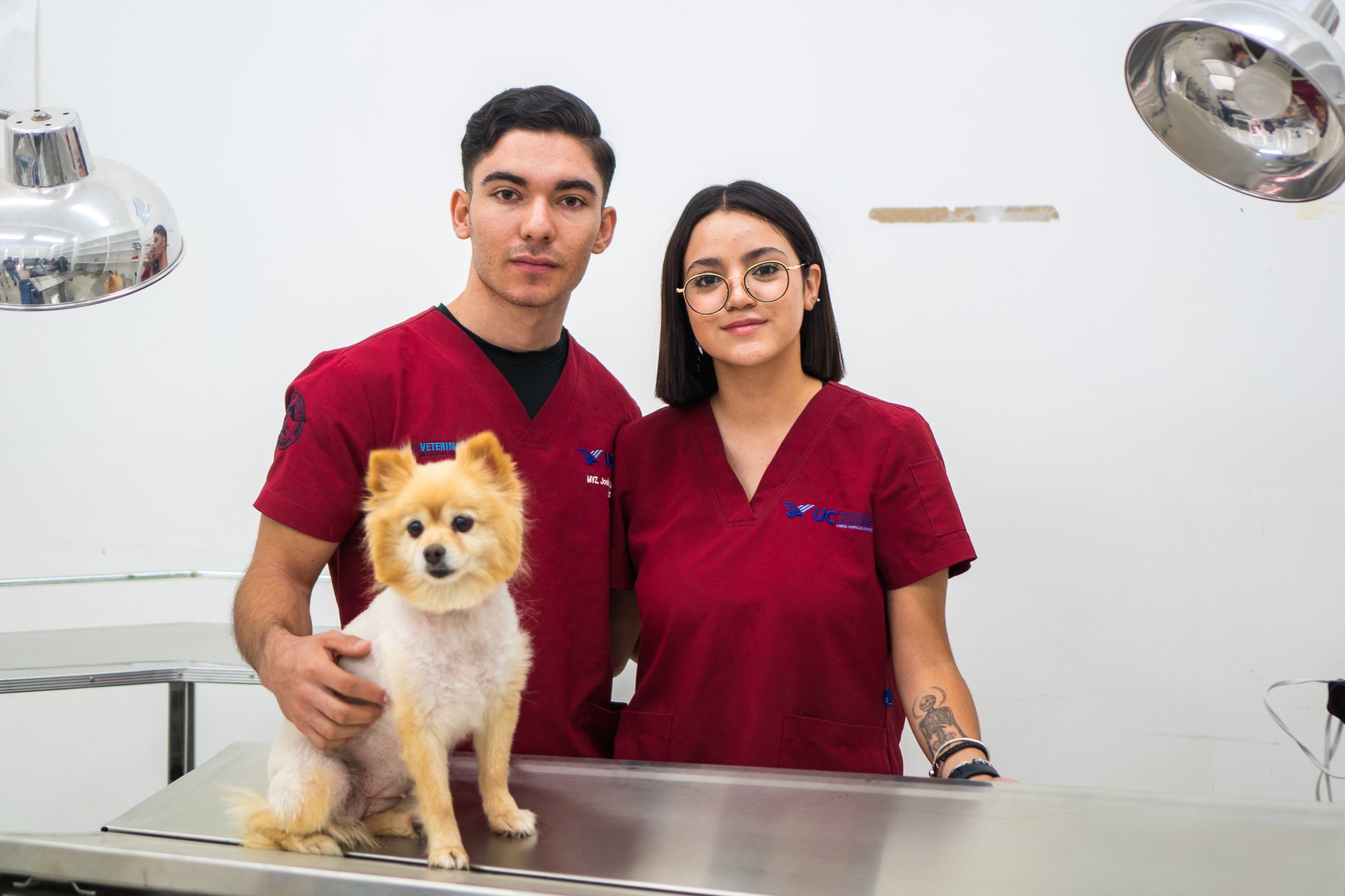 Lic. Médico Veterinario Zootecnista