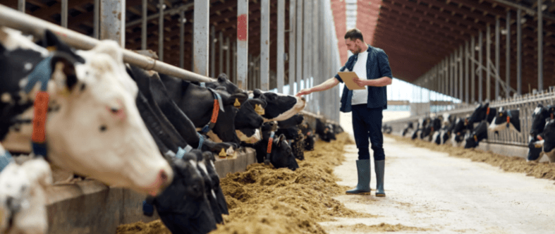 ¿Qué implica estudiar una maestría en gestión de negocios agropecuarios?