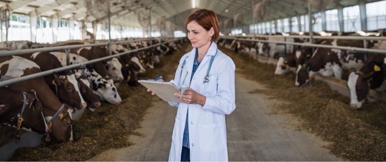 ¿Sabes los alcances que tiene la carrera de veterinaria?