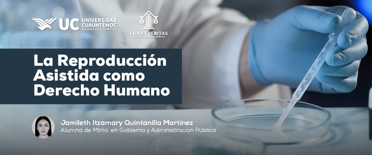 La reproducción asistida como derecho humano.